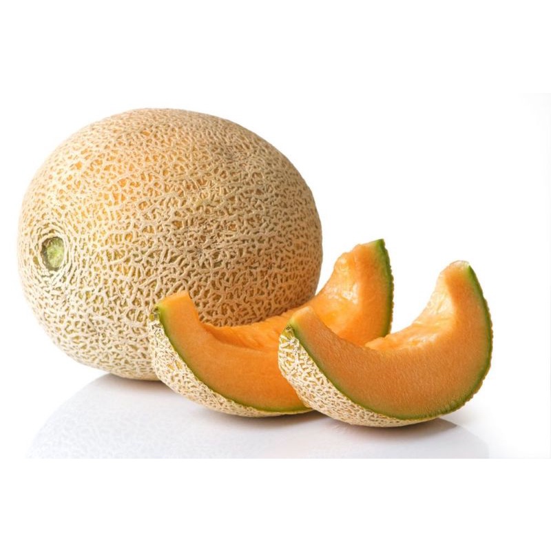 

melon Orange 1 buah