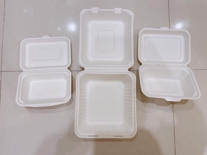 Bagasse Kotak 600ml Lunchbox Takeaway Sugarcane Serat Tebu Eco Friendly
