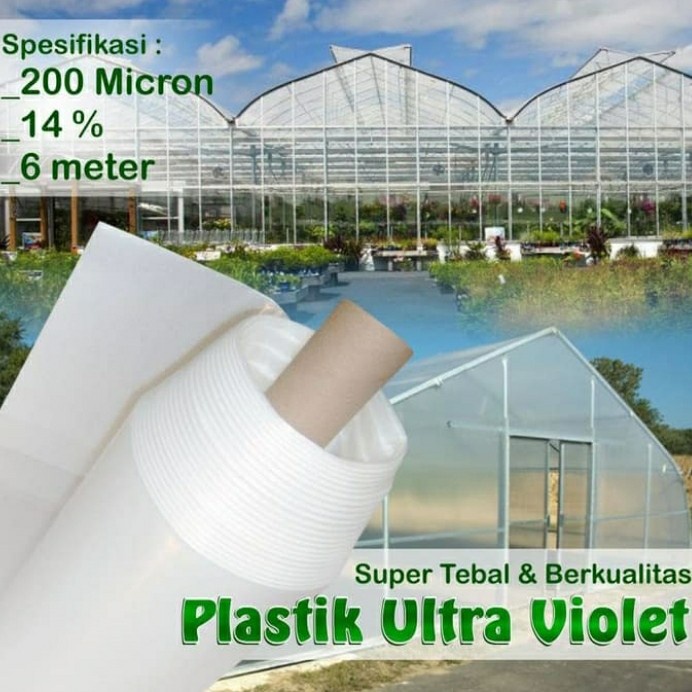 PLASTIK UV GREENHOUSE 200MICRON 14%UV BIDANG 6M JUAL PERMETER (1MX6M)