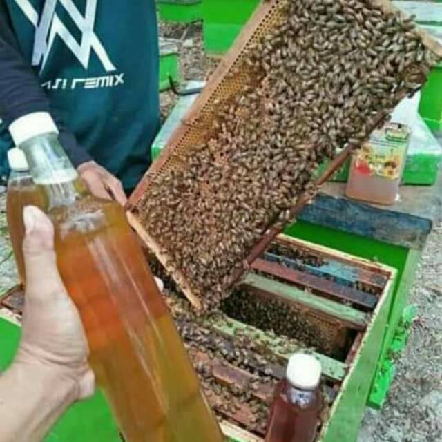 

MADU MURNI 100%