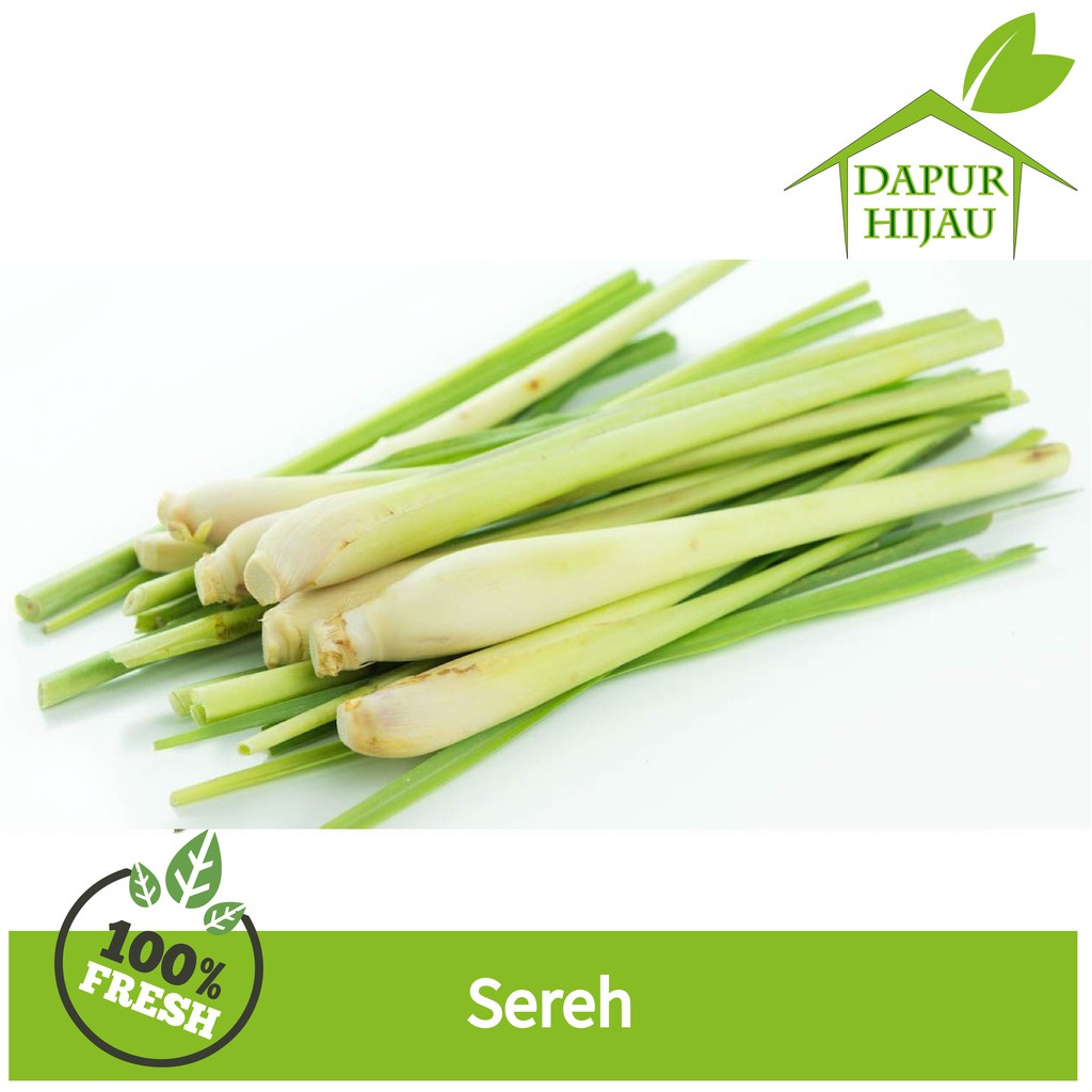

Sereh - Serai segar 500 gr (Harga Termurah !!)