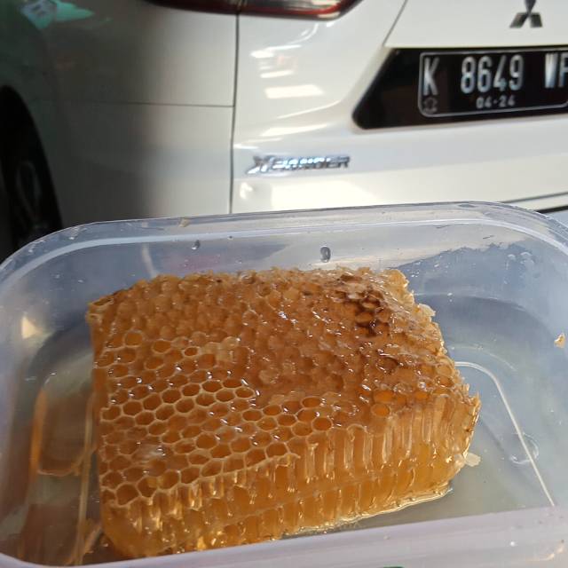 

Madu sarang Asli ...ada ukuran 250 gram& 500gram..kaya akan manfaat...karna murni