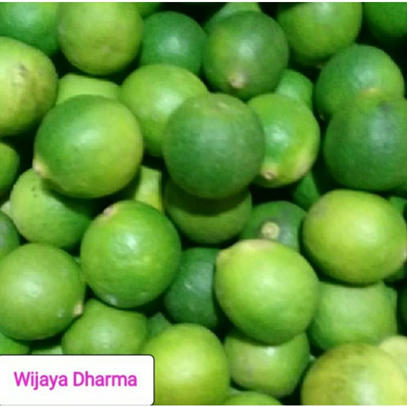 

JERUK NIPIS 500g
