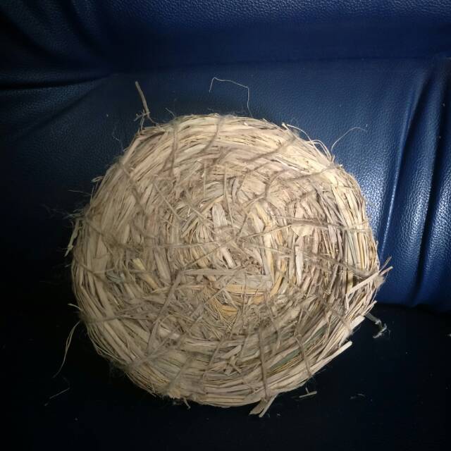 Sarang ayam/sarang burung dara/jerami sarang burung dara/jerami ayam/