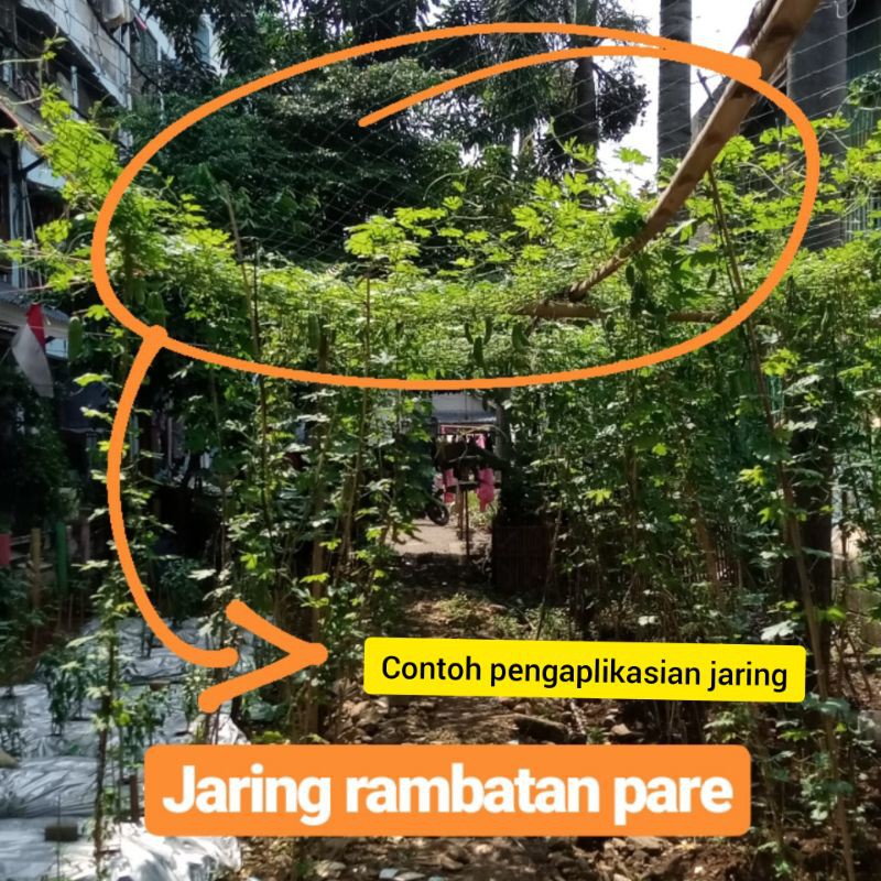 media tanam jaring / jaring rambatan tanaman ukuran 3m x 1m