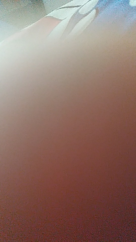 Pisau Buah Stainless Set Isi 12 Pcs Pisau Dapur Mini Pisau