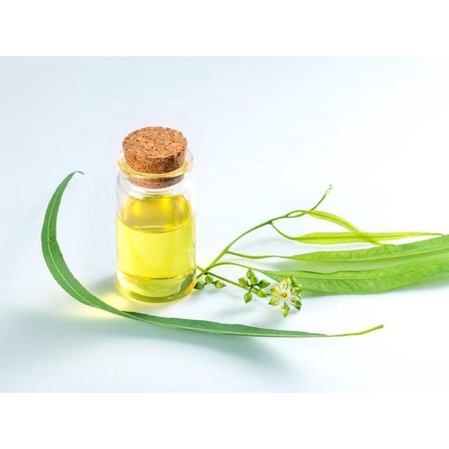 Pembesar Payudara Ampuh Permanen Dan Cepat Obat Kuat Pria Tahan Lama Cream Pembesar Payudara Serum