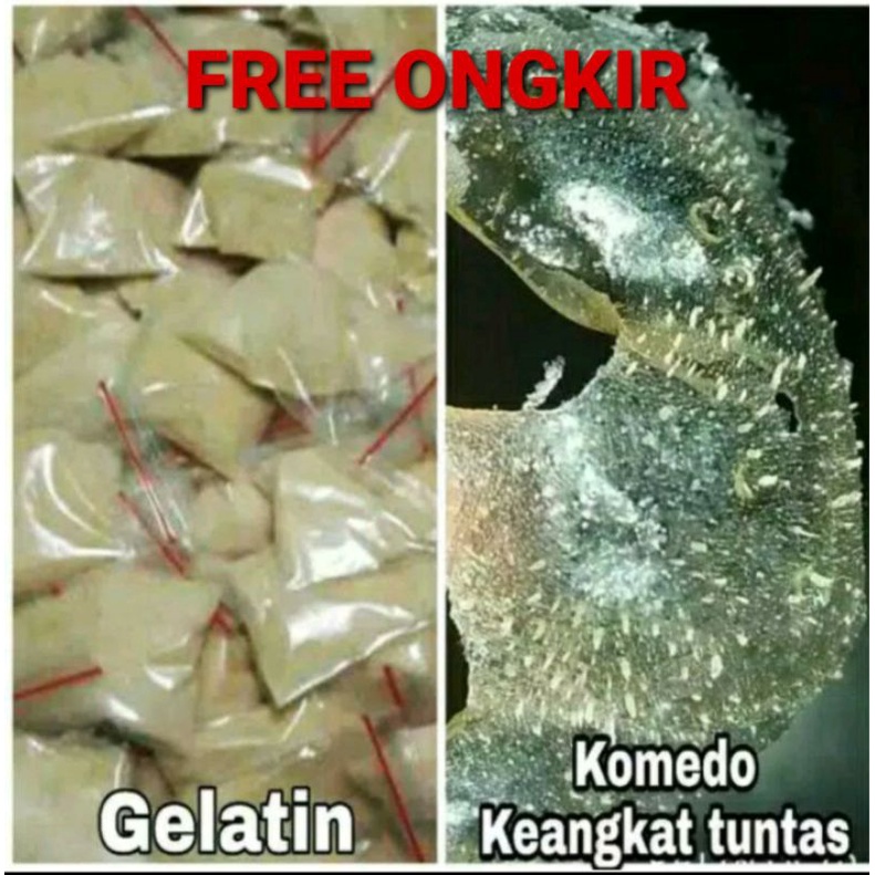 MASKER GELATIN GOLD, ANTI KOMEDO GELATIN GEL