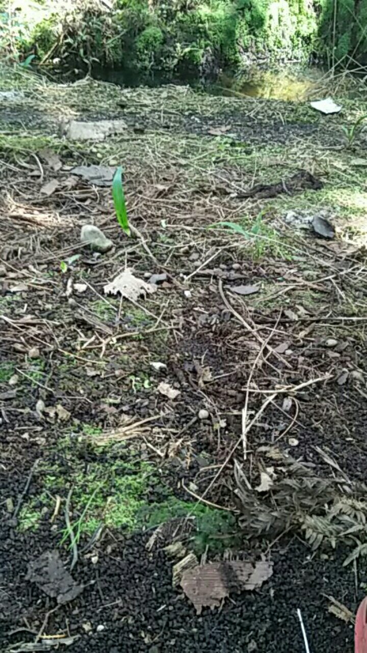 Kain Batik Bimo Kualitas Halus  Dan Tebal Khas Solo