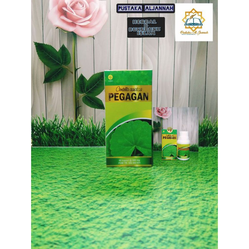 

obat herbal suplemen jamu pegagan centella asiatica