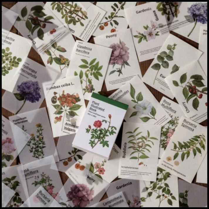 

Khoiri.Olshop | Paper Notes Botanical Bahan Vellum & Kertas 80 Pcs For Bujo, Planner - Flower