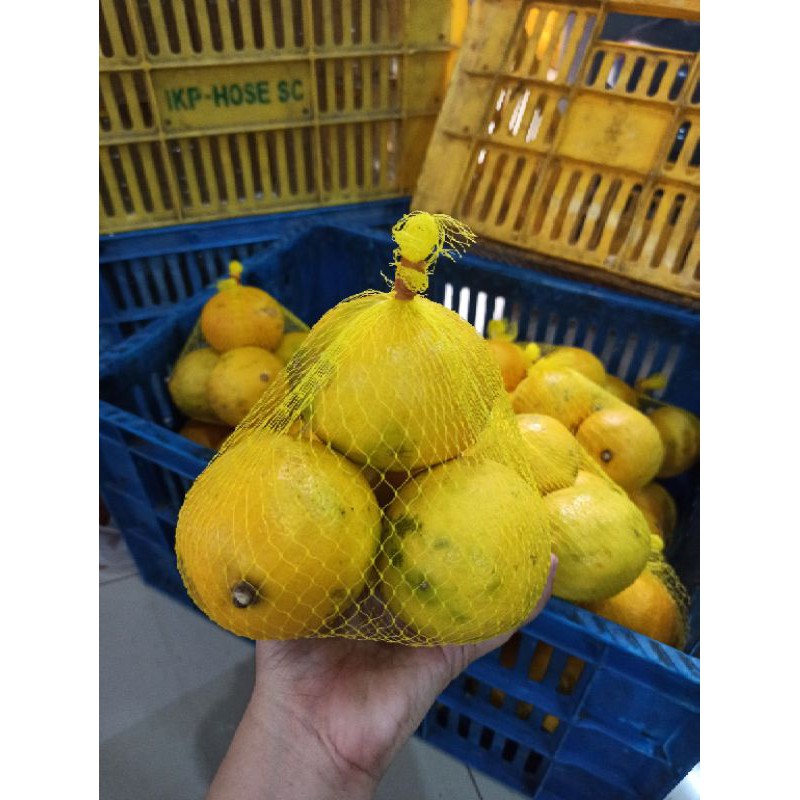 Rajut Jaring Buah Polynet Buah Kuning