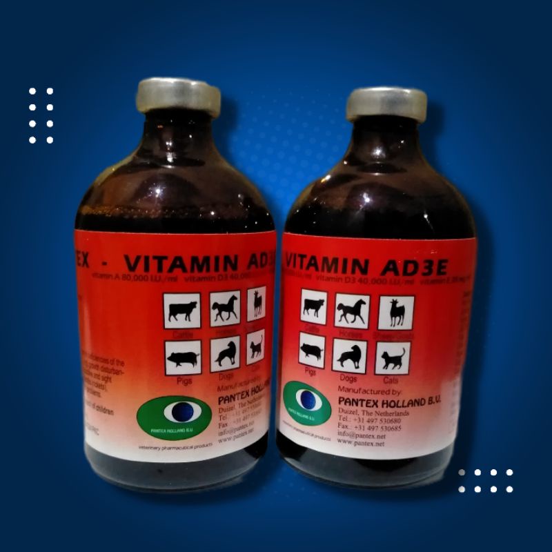 Vitamin AD3E Holland - Vitamin AD3E Injeksi- Pantex Holland AD3E - Vitamin Sapi Majir