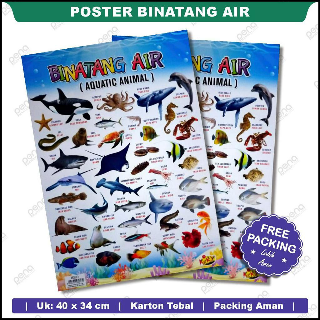 POSTER SATWA Air / Satwa Hidup di Air / Water world