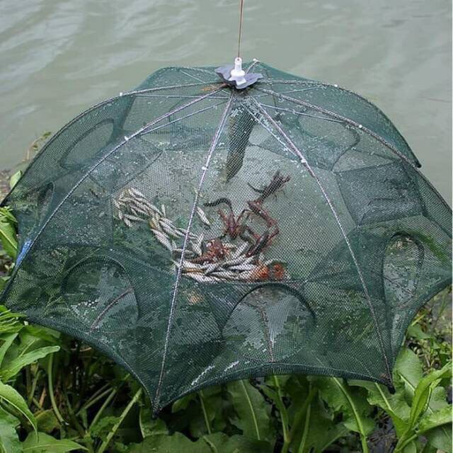 paketan Fish Trap 6 in 1 berkualitas tinggi