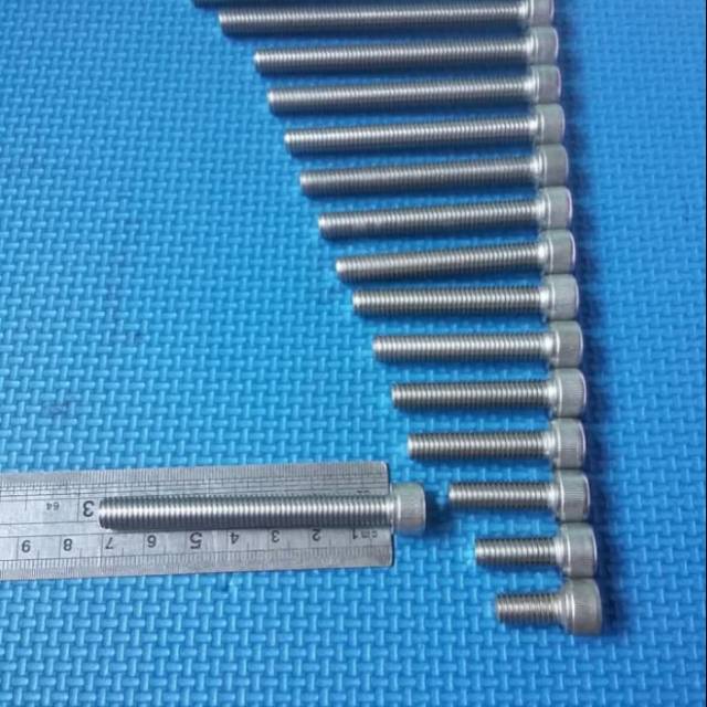 Baut L stainless L6 / 8mmx70mm