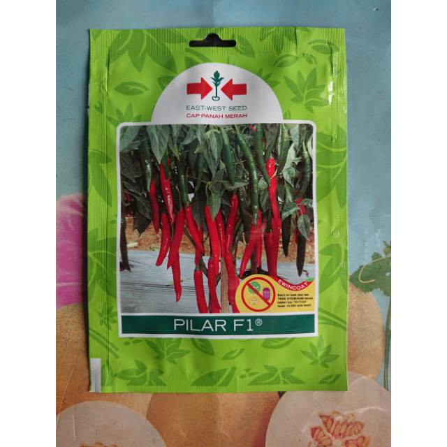 Benih Bibit Cabe Merah Besar Jumbo PILAR F1 125 biji