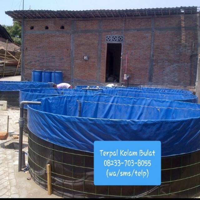 TERPAL KOLAM IKAN BULAT MURAH  PVC ORCHID  D2  T1.20nett Plus Pembuangan