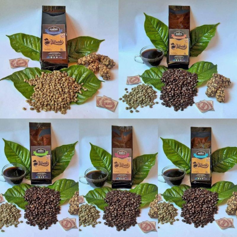 

Bubuk Kopi Luwak Murni