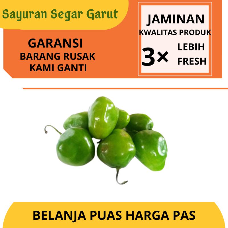 

Cabe Bendot Hijau Super Segar Fresh Murah 250gr by Sayuran Segar Garut