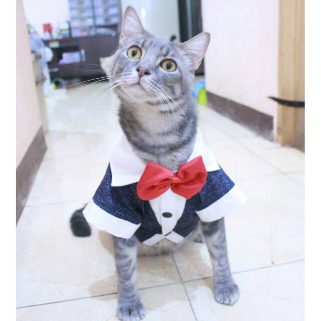 Tuxedo navi blink-blink lucu untuk kucing dan anjing size S M L XL