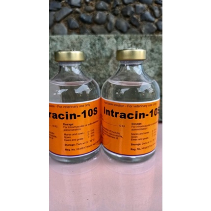 INTRACIN 10S 50 ML INJEK