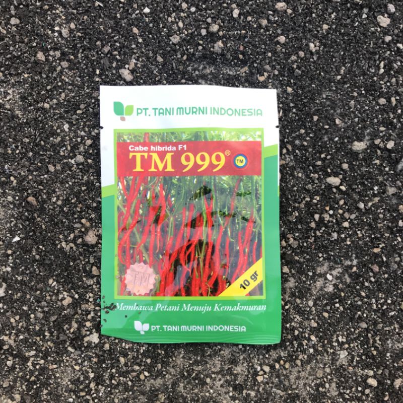 BIBIT CABE HIBRIDA F1 TM999