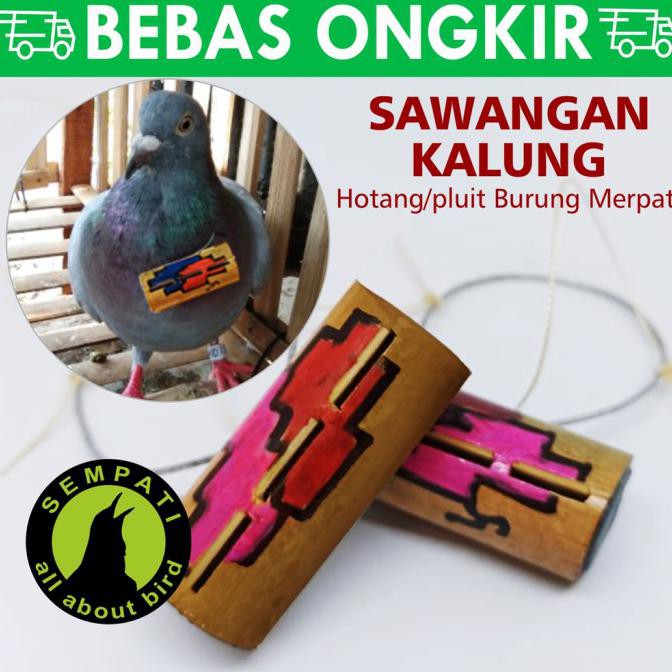 Best Produk] Sawangan Merpati Hotang Hatong Merpati Kalung Pluit Burung Dara Swgtg