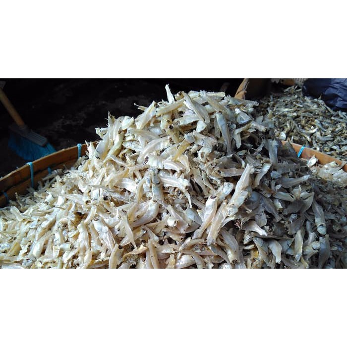 

Ikan Teri Pakang Siantar PROMO