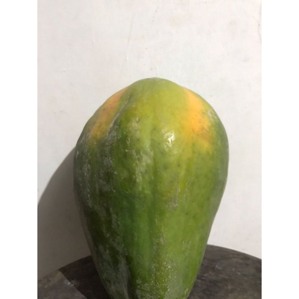

pepaya thailamd
