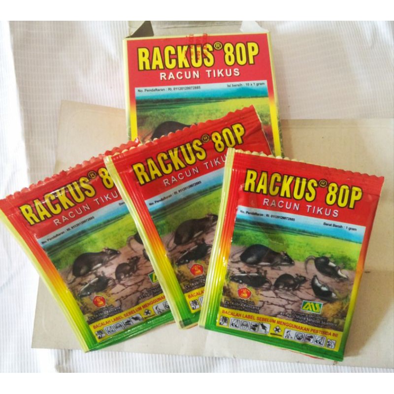 RACUN TIKUS RAKUS