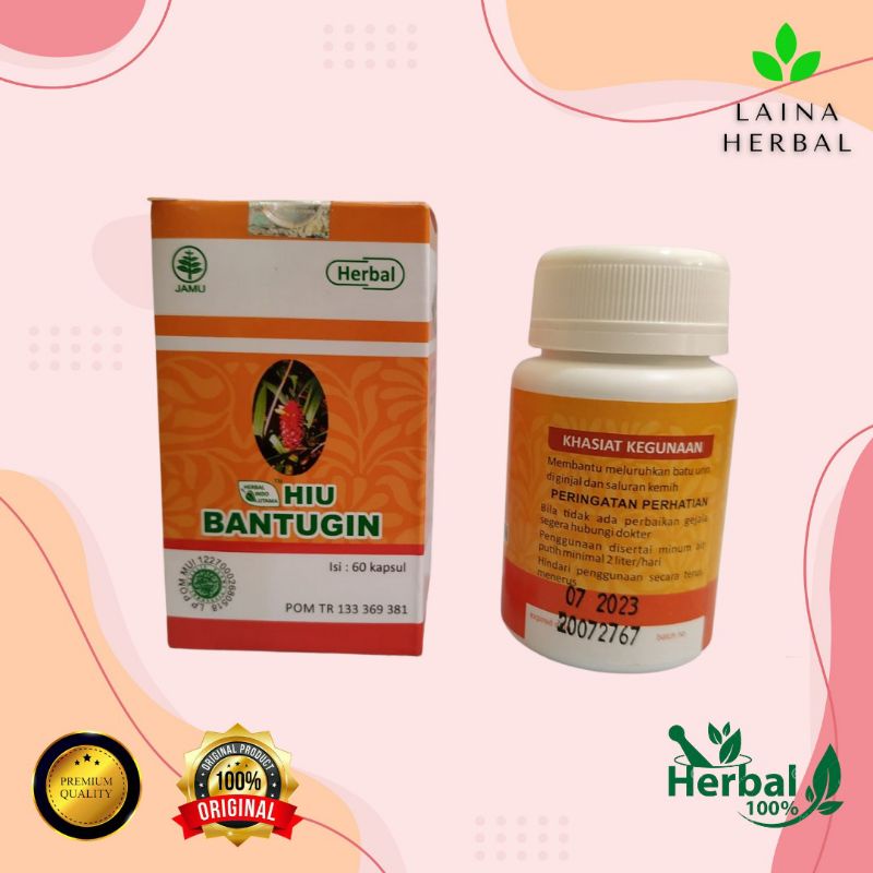 obat batu ginjal de nature obat batu ginjal dan pinggang sakit obat batu ginjal mosehat