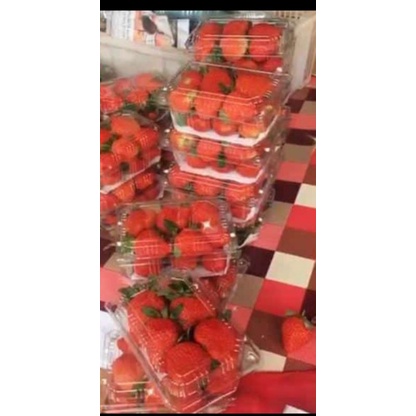 

stoberi stowbery Bandung fresh