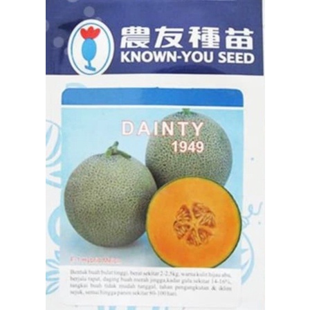 MELON DAINTY 20 GRAM PACK BESAR benih biji bibit buah melon rock oren orange hibrida f1 known you seed