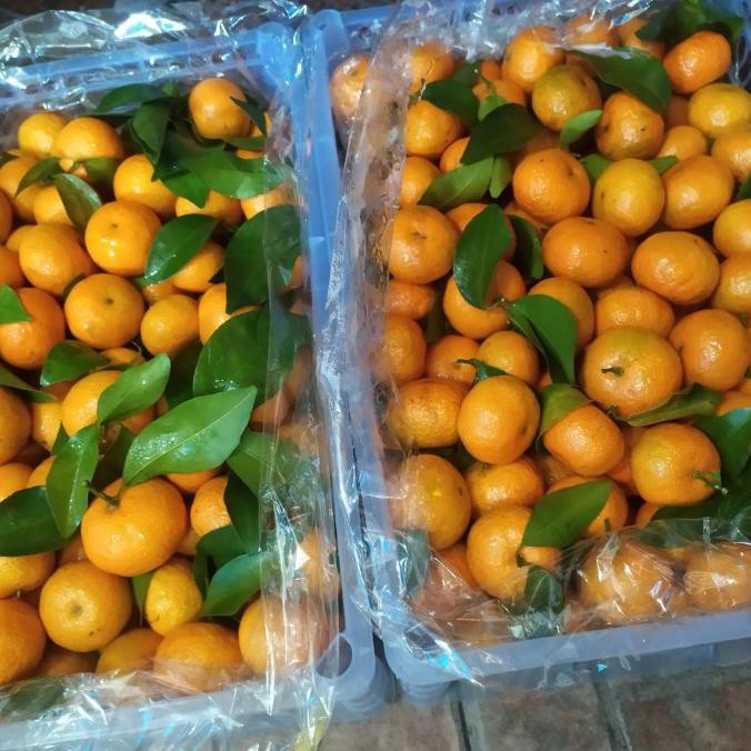 

SAYUR & BUAH BUAH JERUK SANTANG MADU 1 KRANJANG MAKANAN & MINUMAN