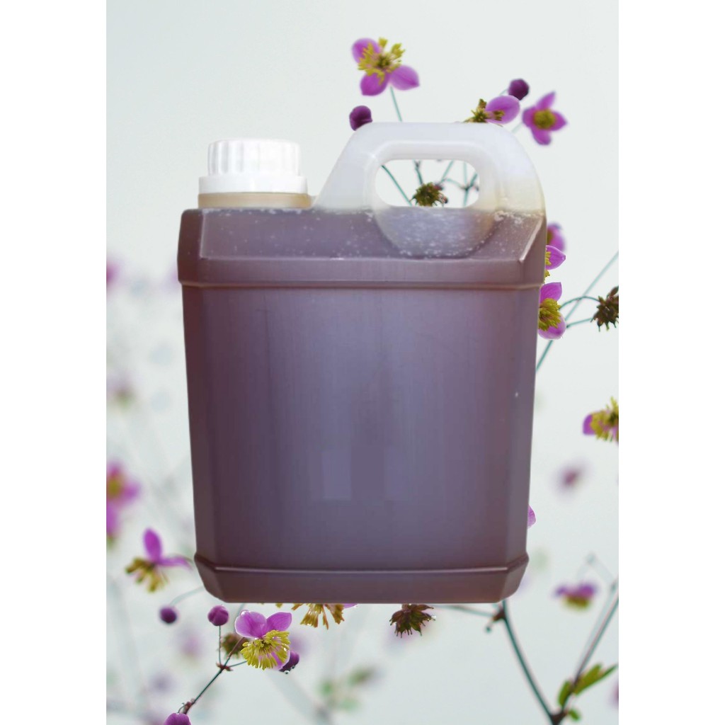 

Madu randu 5kg - Nektar bunga asli murni