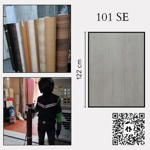 SUPERCON SE101 / CT 5173