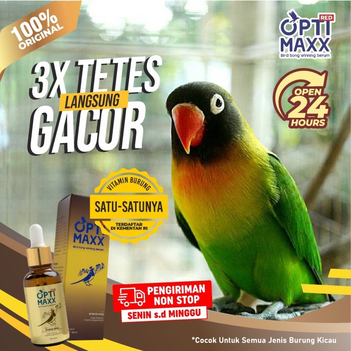 Vitamin Burung - Optimaxx - Obat / Vitamin Herbal Burung Gacor Rahasia Juara Gantangan