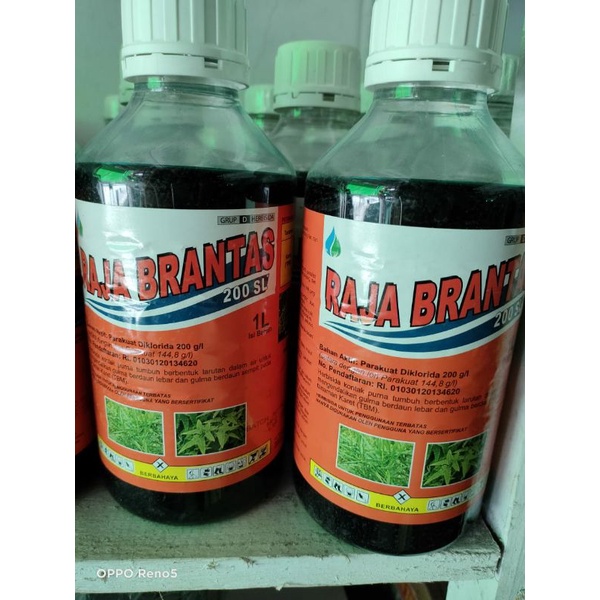 raja Brantas 1ltr