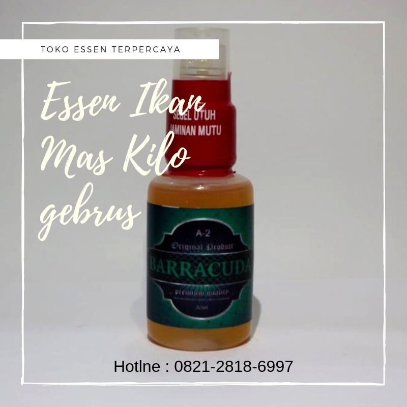 Essen Oplosan Ikan Mas Kilo Gebrus Paling JOSS | Essen Barracuda PREMIUM