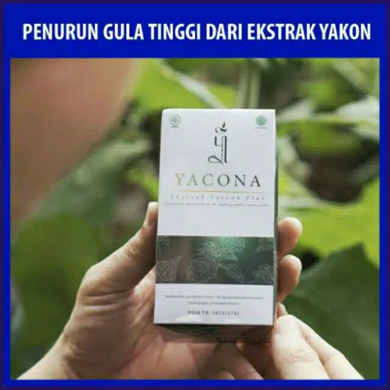 TERBARU YACONA EKSTRAK YAKON PLUS YACONA Obat Herbal Diabetes Gula Darah Kencing Manis