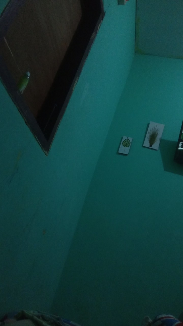 Hio Dupa Stik Chai Shen Aroma 1000 Bunga 4 Jam Isi 30 Batang