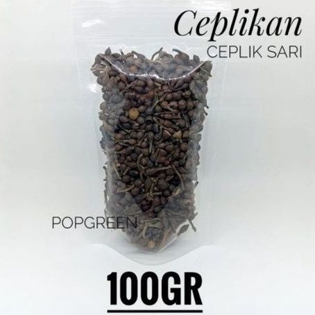 

Ceplikan 100 Gr/ Ceplik Sari/ Biji Ceplikan 100 Gr