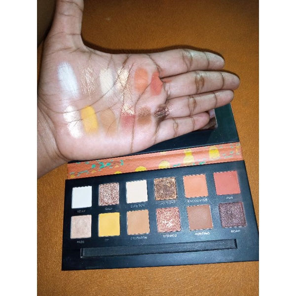 Preloved Eyeshadow Aikimuse Cat