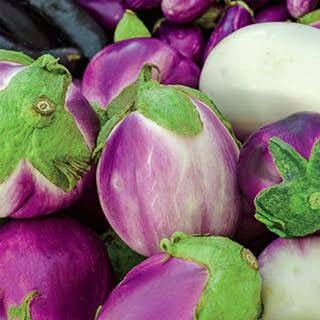 Benih Terong Sayur Ungu Bulat - Bibit Biji Terong Lalap Ungu Bulat