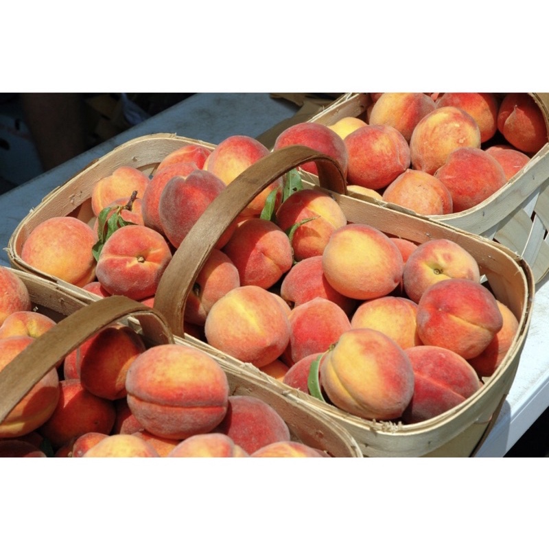 

Peach White USA | Buah Persik Premium 500grm