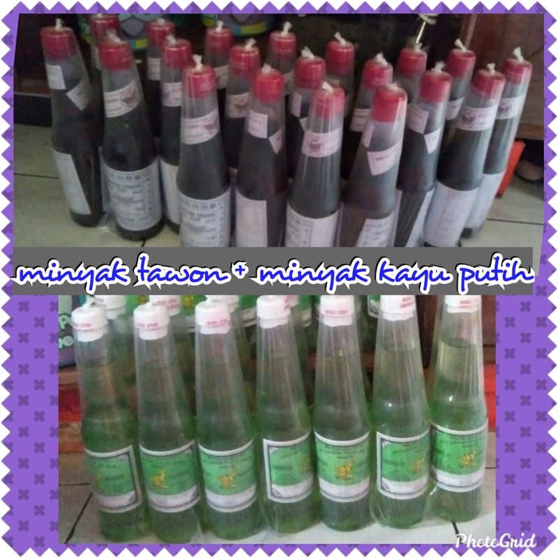 

minyakkayuputihasliambon