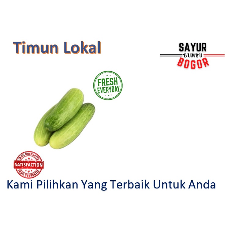 

Timun Lokal / Mentimun / Bonteng