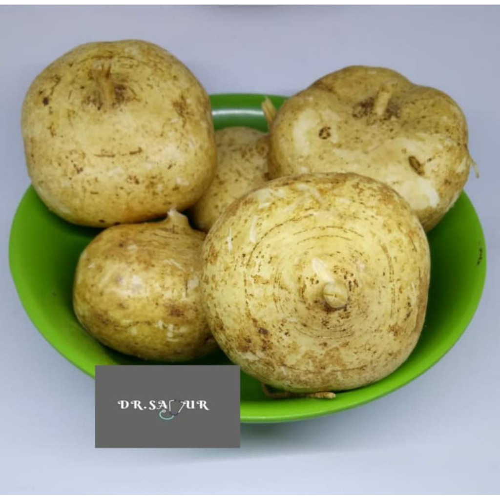 

Bengkoang/Lobak Meksiko