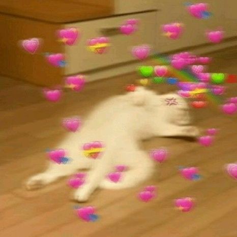 Spatula Plastik Tebal Pengaduk Masker | Spatula Cream Spatula Mini